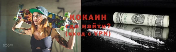 молекула духа Осташков