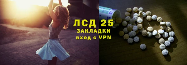 прущие грибы Нягань