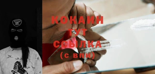 мдпв Гатчина