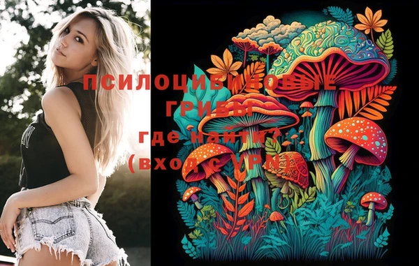 молекула духа Осташков