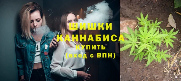мет Галич