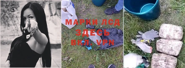 прущие грибы Нягань