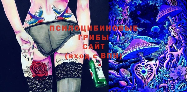соль ск Няндома