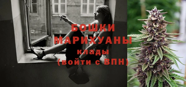 прущие грибы Нягань