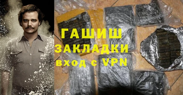 мдпв Гатчина