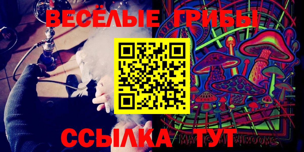 Псилоцибиновые грибы мицелий  где купить   Галлюциногенные грибы Psilocybe  Краснокаменск 