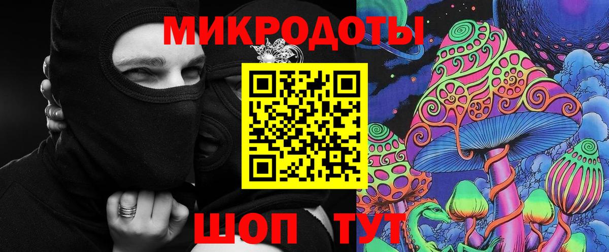 Псилоцибиновые грибы Psilocybe Краснокаменск