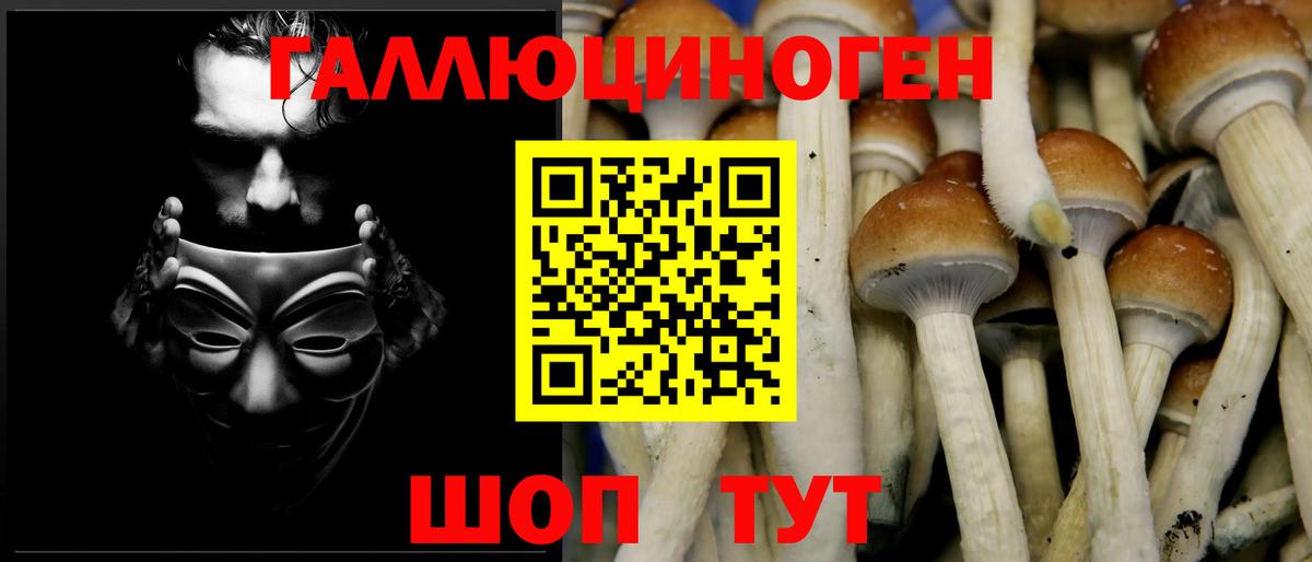 Псилоцибиновые грибы Psilocybe  Галлюциногенные грибы Psilocybine cubensis  Вход с VPN  Краснокаменск 